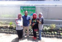 Kadis Ketahanan Pangan Tasikmalaya Dorong KKP berbasis KRPL