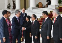 Presiden Jokowi Respon Cepat Keinginan Argentina Impor Buah Indonesia