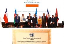 BNPB Terima Penghargaaan UNPSA 2019 untuk Platform Petabencana.id