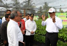 Mentan Amran: Setelah Tanaman Pangan, Kementan Fokus Benahi Sektor Perkebunan