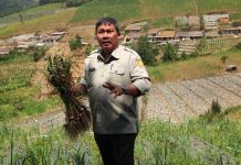 Program Grand Design Hortikultura Mampu Perluas Pasar Ekspor