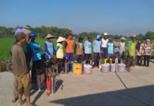 Kementan Dukung Penggunaan Pestisida Nabati Guna Kendalikan Hama Penggerek Batang Padi