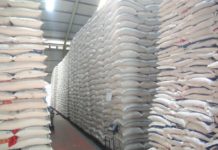 Kementan: Stok Beras Aman Sampai 2020