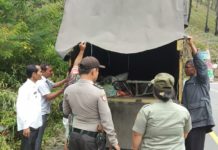 Cegah Perluasan Wabah ASF, Kementan Minta Pengawasan Lalu Lintas Babi Diperketat