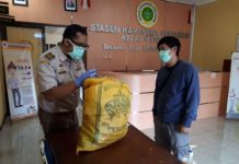 Jamur Susu Harimau NTT Laris di Pasar Global