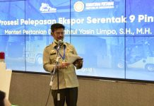 Perluas Akses, Kementan Integrasikan Aplikasi Peta Ekspor ke Pasar Digital Global