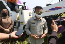 Mentan SYL: Produksi Pangan Indonesia Cukup Kuat dan Terkendali