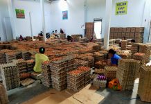 Peternak Blitar Gandeng PT. Berdikari Distribusikan Telur Ayam