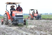 Berdasarkan Global Hunger Index, Ketahanan Pangan Indonesia Terus Menguat
