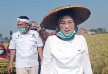 Hari Tani Nasional 2020, Bupati Purwakarta Apresiasi Program Terobosan Kementan