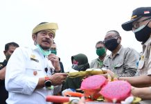 Tinjau Balai Benih Induk Kepri, Mentan Lihat Peluang Kekuatan Ekonomi