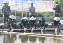 Dukung Ketahanan Pangan Ditengah Pandemi Covid-19, Koarmada I Tebar Benih Udang dan Ikan