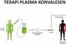 Kemenkes: Terapi Plasma Konvalesen, Harapan Baru Tangani Covid-19