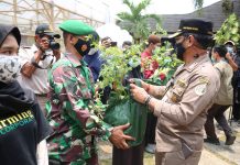Mentan SYL Dorong Swasta Jadi Inisiator Urban Farming