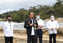 Presiden Jokowi Ajak Pemuda Tekuni Pertanian, Mentan Dorong Modernisasi