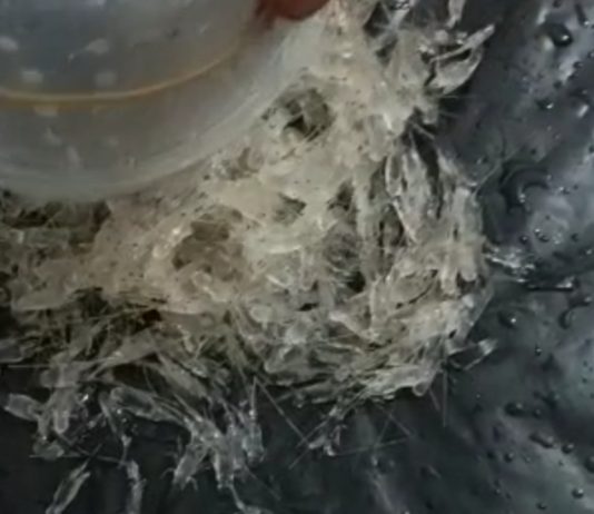 KPK Tangkap Menteri KKP Edhy Prabowo Atas Dugaan Korupsi Ekspor Benur