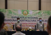 Buka Rakernas Pembangunan Hortikultura 2021, Mentan SYL: Tahun Ini Harus Lebih Baik