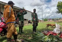 Meriahkan Penutupan TMMD ke-110, Warga Distrik Kawagit Sumbang Hewan Ternak