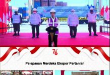 Komoditas Peternakan Berkontribusi Tinggi dalam Merdeka Ekspor