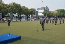 Pangkoarmada l Pimpin Laporan Korps Kenaikan Pangkat Pamen Koarmada l