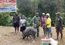 Ratusan Warga Empat Kampung di Mimika Dukung Pembangunan Jalan Poros Banti – Arwanop