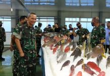 Program Mutiara Pattimura Dorong Lapangan Kerja bagi Masyarakat Nelayan di Maluku Tenggara