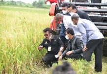 Kurangi Penggunaan Pupuk Kimia, Kementan Apresiasi Petani Gunakan Biosaka