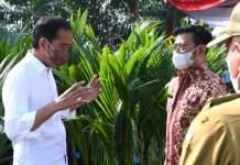 Presiden Jokowi: Terima Kasih Petani dan Pak Menteri, Pertanian Terus Berproduksi