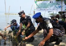 Pushidros TNI AL Tanam Bibit Mangrove di Pulau Tidung Kepulauan Seribu