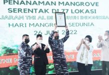 TNI AL Pecahkan Rekor Dunia, Tanam 1.000.377 Bibit Mangrove Nasional Serentak