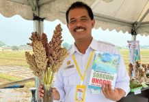 Wujudkan ‘One Village One Product’, Kementan Dorong Pengembangan Olahan Sorgum