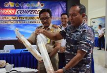 Sinergitas Prajurit TNI AL dan Bea Cukai Gagalkan Penyelundupan Baby Lobster Bernilai Miliaran Rupiah