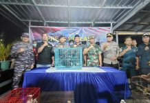 TNI AL Gagalkan Pengiriman Satwa Dilindungi Melalui Jalur Laut