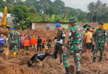 Tim Satwa K-9 Pomdam III/Slw Diterjunkan Bantu Pencarian Korban Tertimbun Tanah Akibat Gempa Cianjur