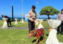 Sinergitas TNI Polri, Brimob Polda Bali dan Marinir Sterilisasi Lokasi PALS 23