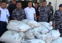 TNI AL Berhasil Gagalkan Pencurian Batubara dari Kapal Tongkang di Cilacap